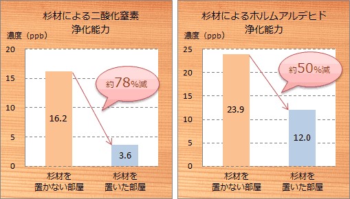 杉の呼吸が暮らしを変える