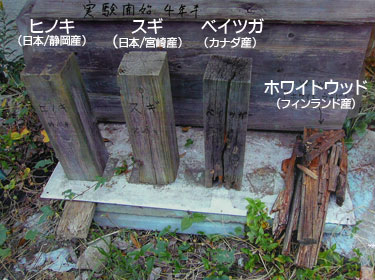 ホワイトウッド