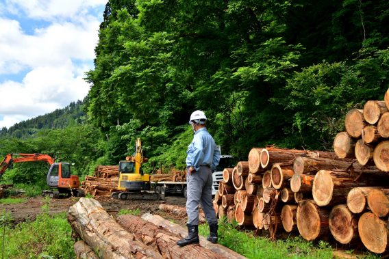 林業・国産材を出荷する