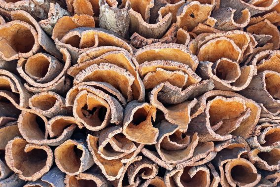 Harvested cork in the countryside from Portugal