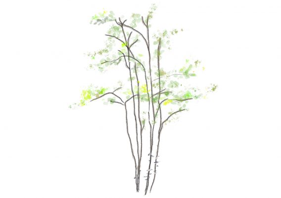 名称未設定のアートワーク