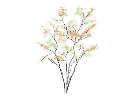 名称未設定のアートワーク