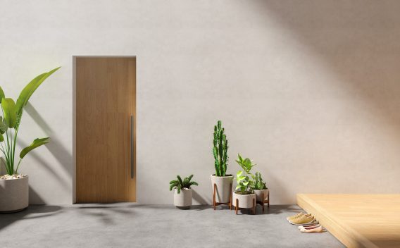 広い土間の玄関と観葉植物